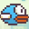 Play Flappy Fowl