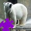 Polar Bear Jigsaw A Fupa Jigsaw Game