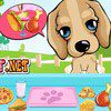 Puppy In The Park    A Free Strategy Game