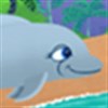 My Dolphin Play Day A Free Adventure Game