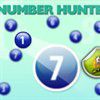 Play Number Hunter