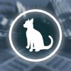 Time4Cat A Free Action Game