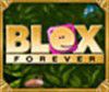 Blox Forever A Free Memory Game