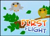 Play First Flight