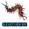 Play Centipede