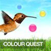 Play Color Quest