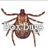 Play Box Bugs