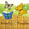 Play Butterfly Paradise