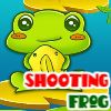 Play ShootingFrog