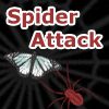 Play Spider Attack