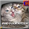 Play Find your Kitten