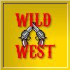 Play Wild West Reaction 2