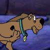 Play Scooby math