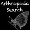 Play Arthropoda Search