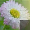 Play Sliding Puzzle: Flowers