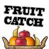 Play Fruit Catch