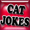 Play Cat Joke Shooter