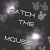 Play Catch the mouse
