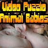 Video Puzzle: Animal Babies A Free Puzzles Game