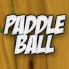 Play gc_paddleBall