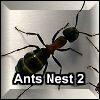 Play Ants Nest 2