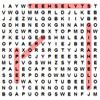WordSearch: Internet A Free Education Game