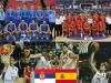 Puzzle, Serbia - Spain, quarter finals, 2010 FIBA World Turkey