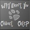 Why don`t you collect cats?