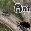 Play ANT