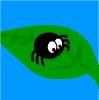 Play SpiderSpin