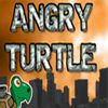 Play Angry Turtle