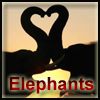 Elephants A Free Fighting Game