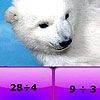 Play Polar bear division puzzle