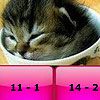 Play Baby cats subtraction puzzle