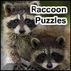 Play Raccoon Puzzles