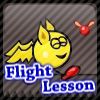 Play Flight Lesson