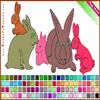 Rabbit Coloring