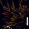 Play Particle Pong