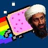 Play Nyan Bin Laden