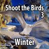 Shoot the Birds - Winter