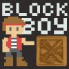 Play Block Boy