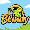 Play Blindy