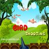 Bird Shooting