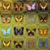 Butterfly Connect A Free Puzzles Game