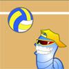 Play Volley