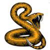 Snake Pro - Vipera berus