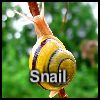 Play Snail