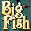 Play Big Fish