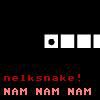 Play NelkSnake