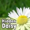 Play Hidden Daisy